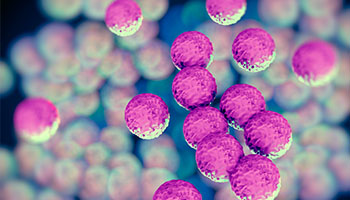 John Lab Establishes New Method to Develop Antibiotics 