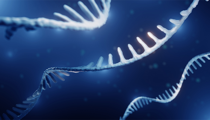 Researchers in the Center for Computational and Genomic Medicine developed a tool to read RNA more accurately.