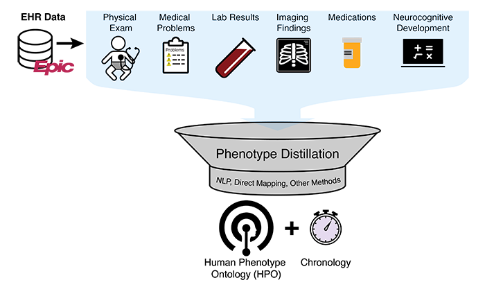 Automated extraction of phenotypes relevant to pediatric genetic disease using natural language processing and other machine learning from the electronic health record